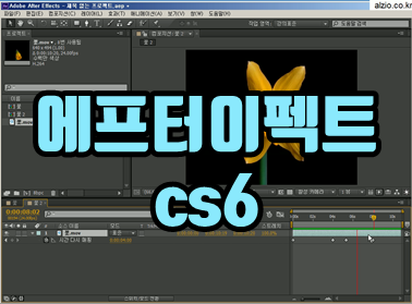 Ʈ cs6