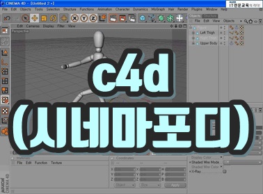 c4d (ó׸)