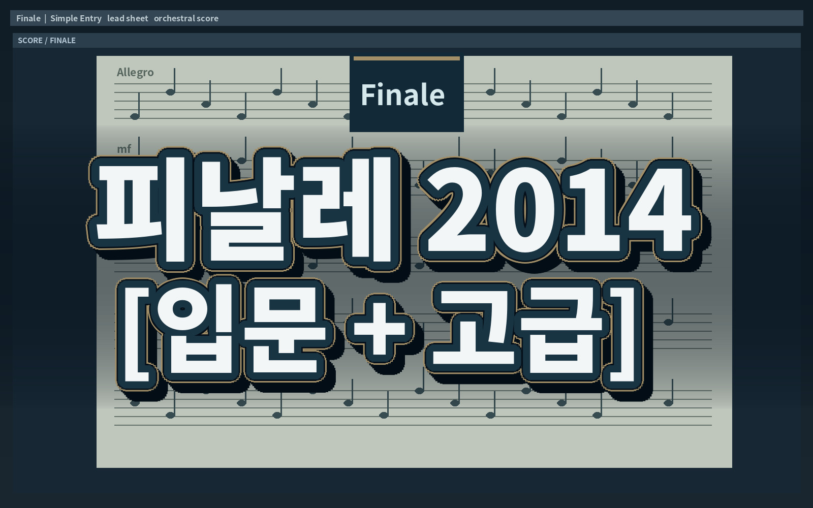 피날레 2014 [입문 + 고급]